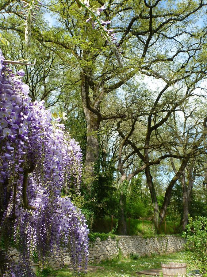 Bio La Crocetta Hotel San Casciano dei Bagni Bagian luar foto